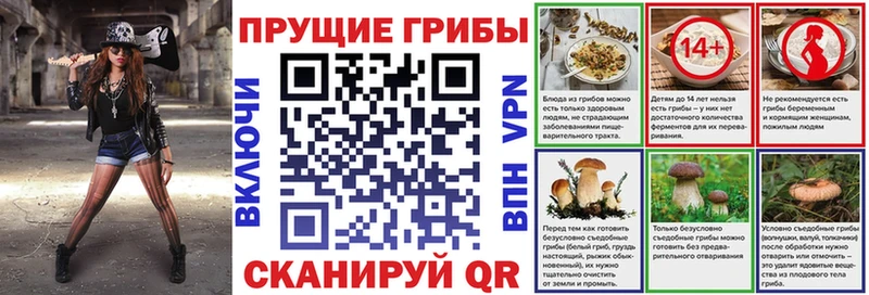 Галлюциногенные грибы Psilocybine cubensis Амурск